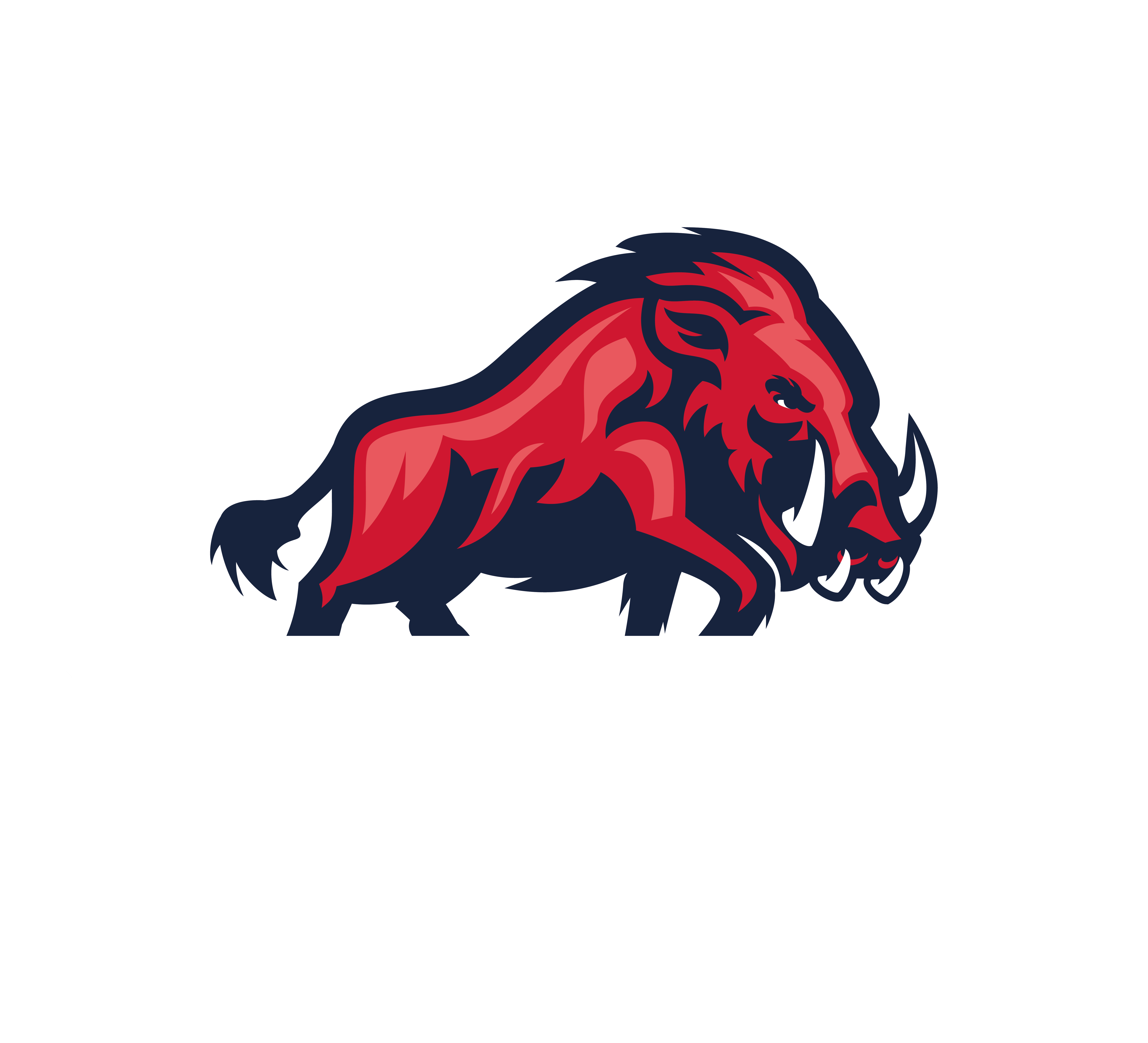 Ravensburg Razorbacks